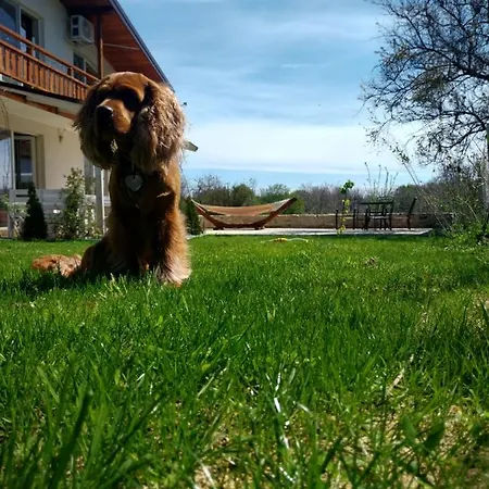 Sanny's House Ezerets