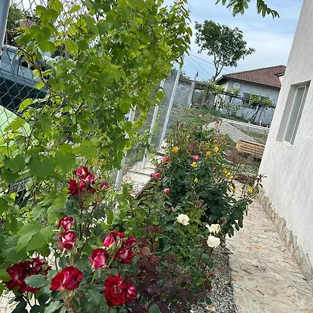 בית נופש Sanny's House